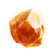 Evo 01.png